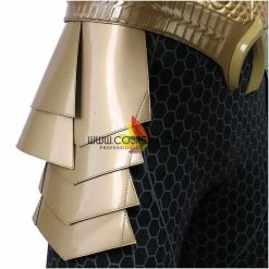 Cosrea Cosplay Costumes Aquaman Complete Cosplay Costume