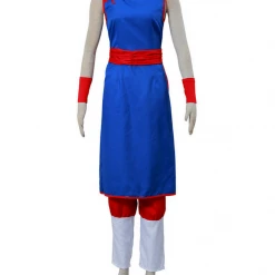 Cosrea Cosplay Costumes Dragonball Chi Chi Youth Qipao Cosplay Costume
