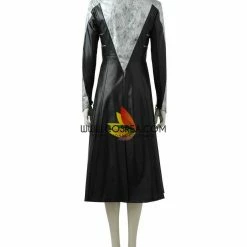 Cosrea Killer Frost Cosplay Costume Cosplay Costumes