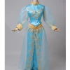 Cosrea Disney Inspired Aladdin Princess Jasmine Satin With Tulle Sleeves Cosplay Costume