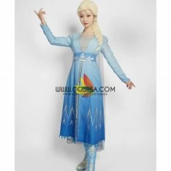 Cosrea Disney Inspired Frozen 2 Elsa High Detail Gradient Embroidered Cosplay Costume
