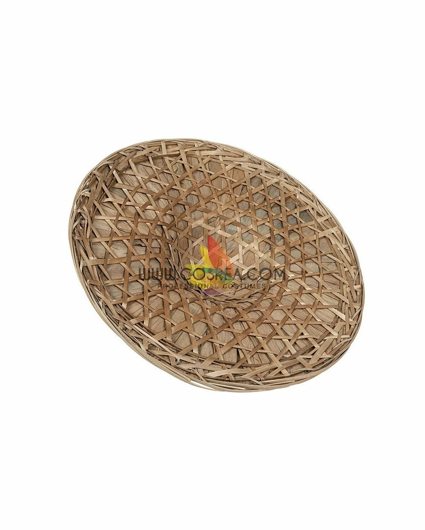 Cosrea Raya And The Last Dragon Linen Version Cosplay Costume