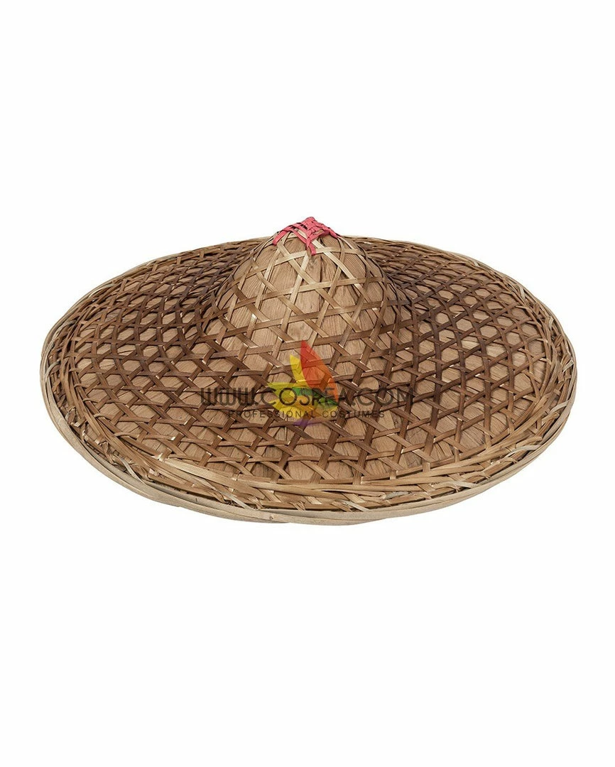 Cosrea Raya And The Last Dragon Linen Version Cosplay Costume