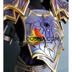 Cosrea Warlock Voidheart Raiment World Of Warcraft Cosplay Costume Custom Armors & Costumes