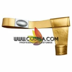 Cosrea Power Rangers Dino Thunder Black Ranger Cosplay Costume TV & Movies