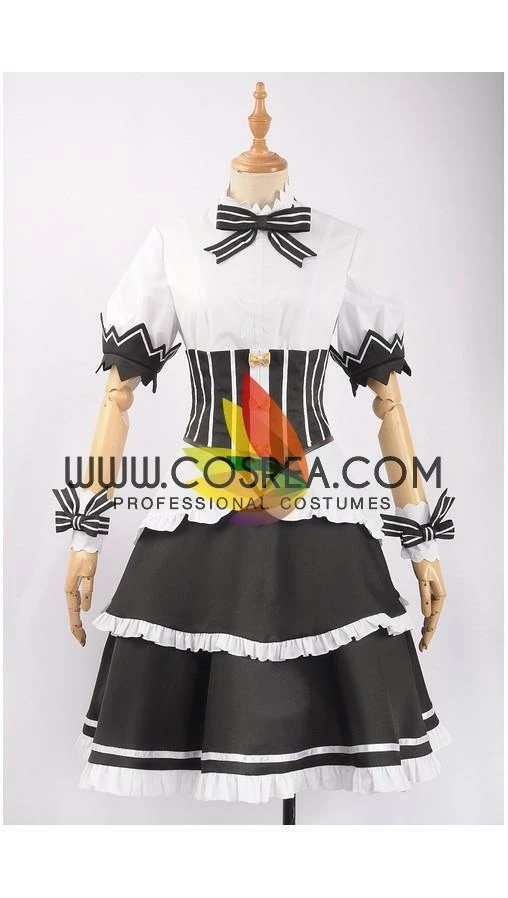 Cosrea Re:Zero Rem Birthday Party Cosplay Costume