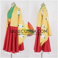 Cosrea Touhou Project Hieda No Akyuu Cosplay Costume Anime Costumes