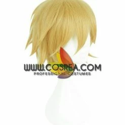 Cosrea Aotu World King Cosplay Wig Cosplay Wigs