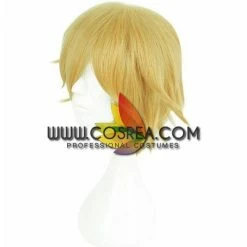 Cosrea Aotu World King Cosplay Wig Cosplay Wigs