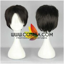 Cosrea Attack On Titan Levi Ackerman Cosplay Wig Cosplay Wigs